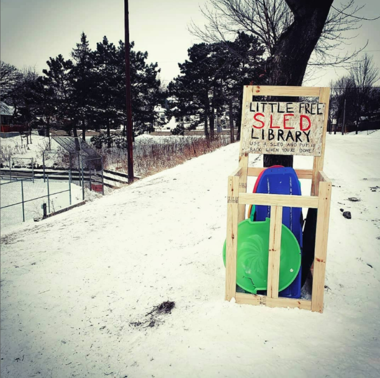 celadon books little free library