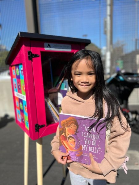 Pink Little Free Library In the Bay Area, Thousands of Diverse Books Flood Little Free Libraries ...