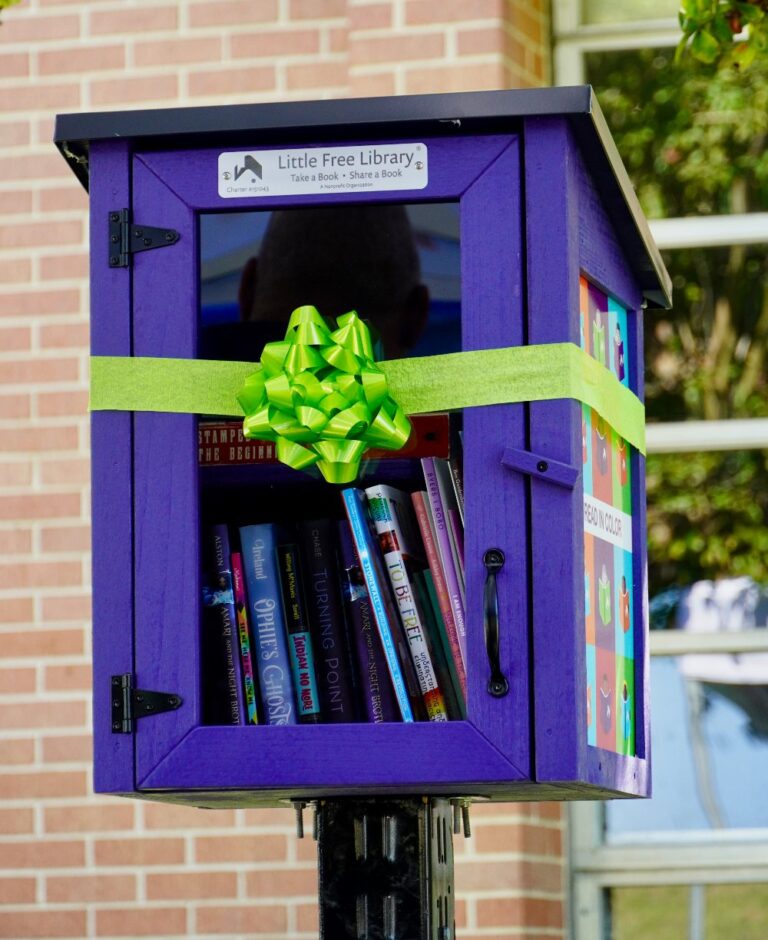 'Read in Color' Program Brings Diverse Books to New Orleans Little Free