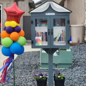 Bookish Little Free Library Designs - Little Free Library