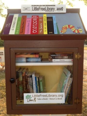 Bookish Little Free Library Designs - Little Free Library