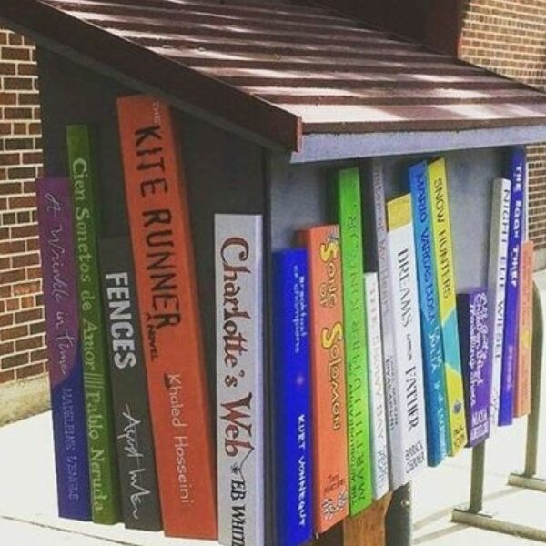 Bookish Little Free Library Designs - Little Free Library