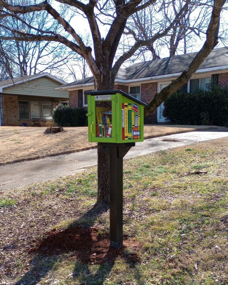 Library Impact Impact Library Program Steward Stories, July 2026 - Little Free Library